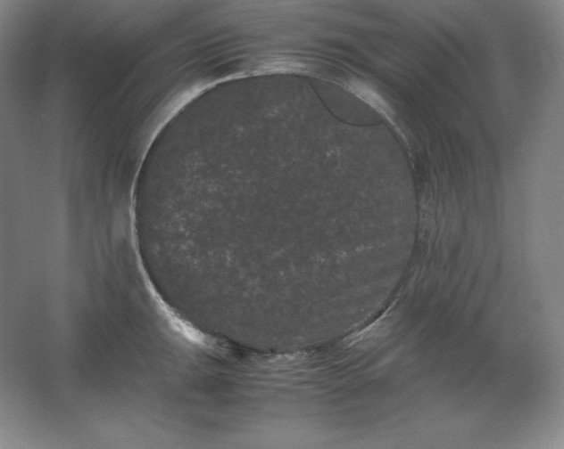 X0000062631047200512281550