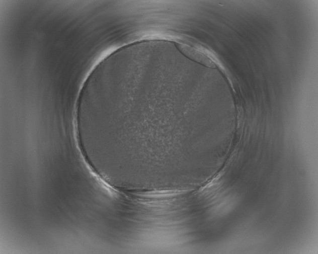 X0000062631048200512281550