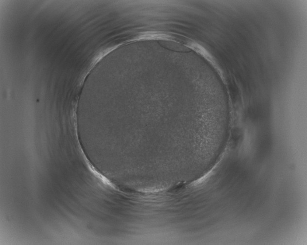 X0000062631049200512281550