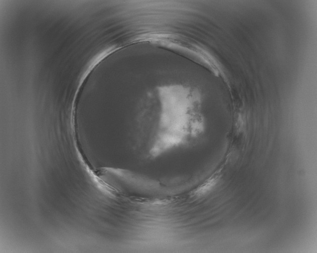 X0000062631050200512281550