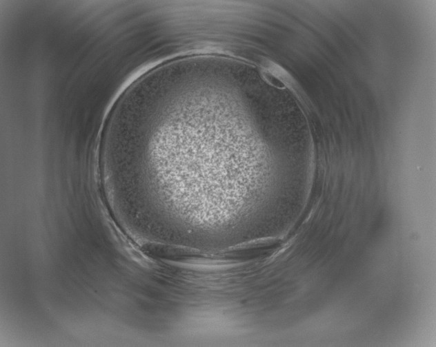 X0000062631052200512281550