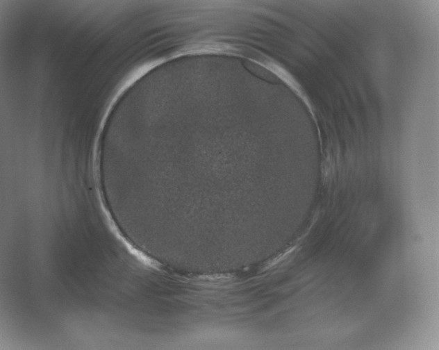 X0000062631053200512281550