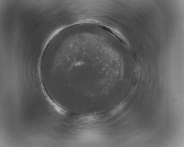 X0000062631054200512281550