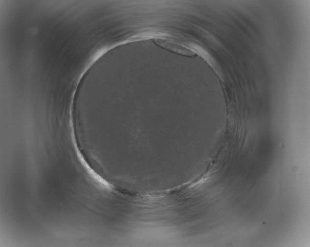 X0000062631055200512281550