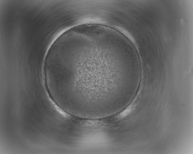 X0000062631056200512281550