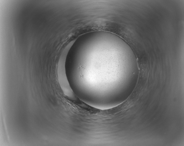 X0000062631057200512281549