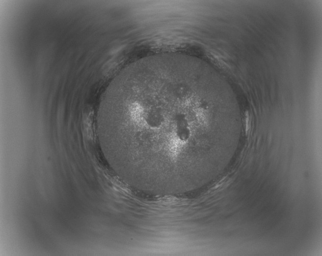 X0000062631059200512281549