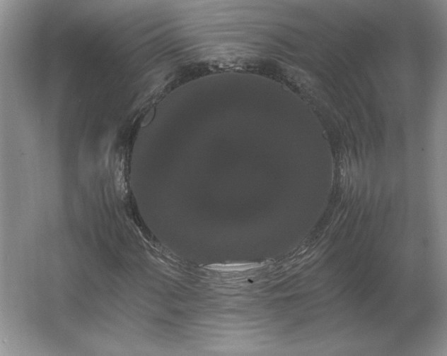 X0000062631060200512281549