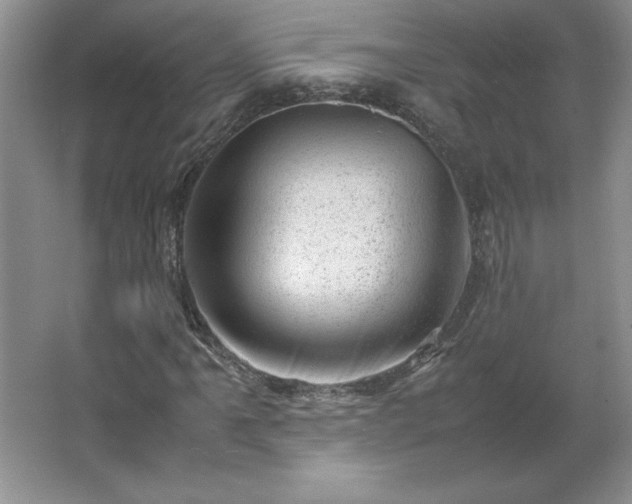 X0000062631061200512281549