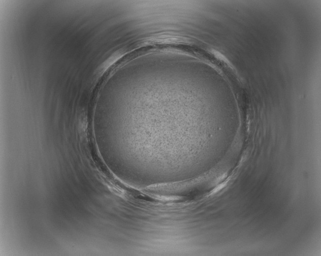 X0000062631065200512281549