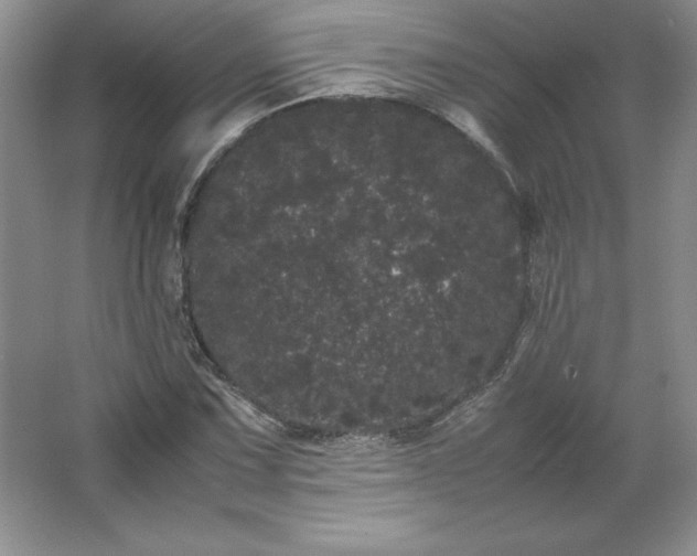 X0000062631067200512281549