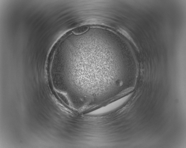 X0000062631068200512281549