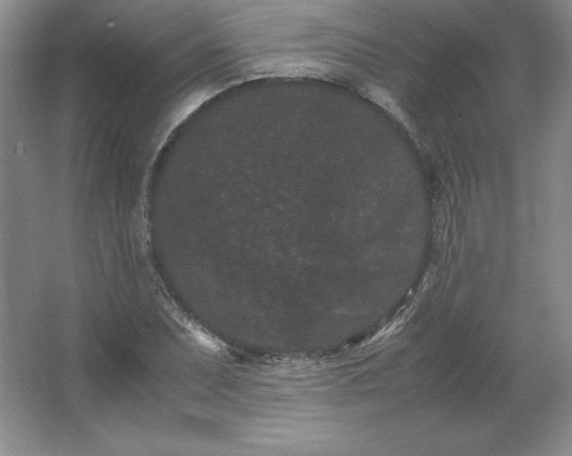 X0000062631071200512281549