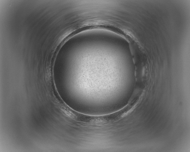 X0000062631073200512281549