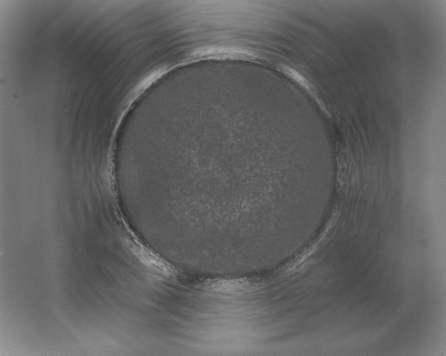 X0000062631074200512281549