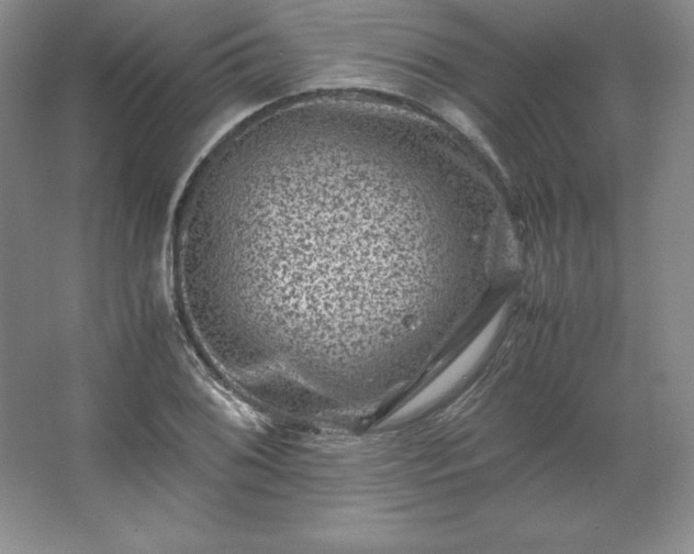 X0000062631076200512281549