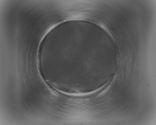 X0000062631077200512281549