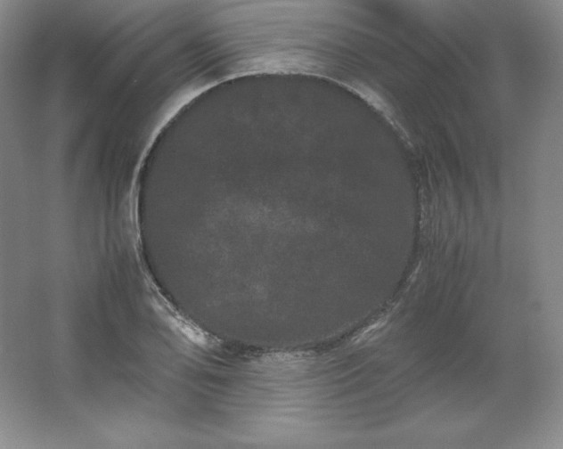 X0000062631078200512281549