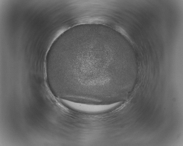 X0000062631079200512281549