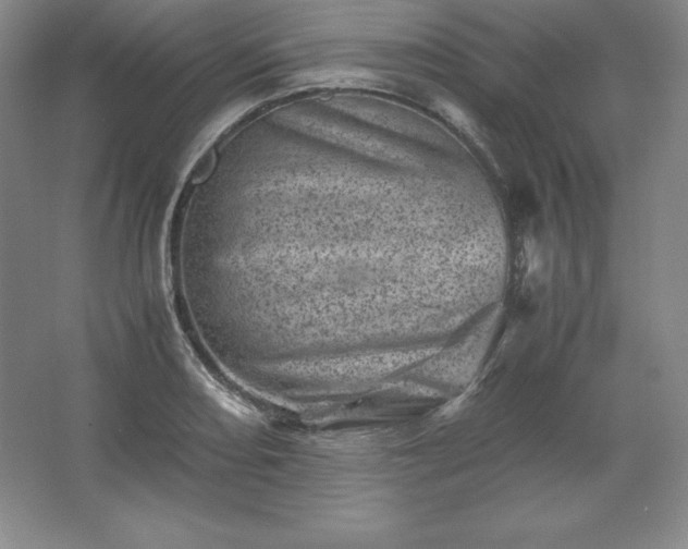 X0000062631082200512281549