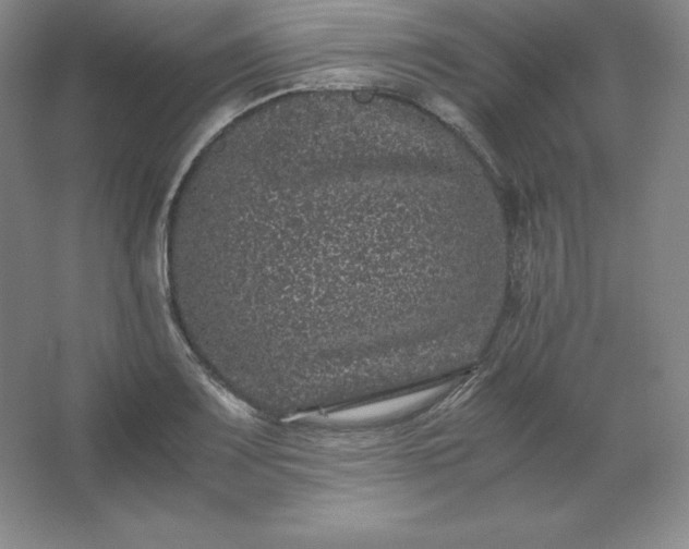 X0000062631083200512281549