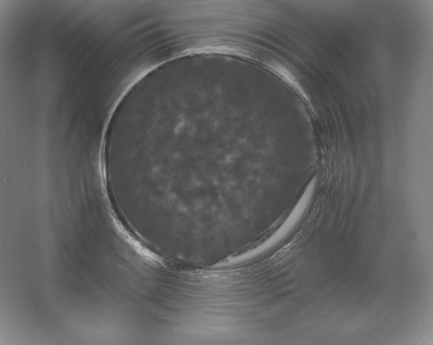 X0000062631084200512281549