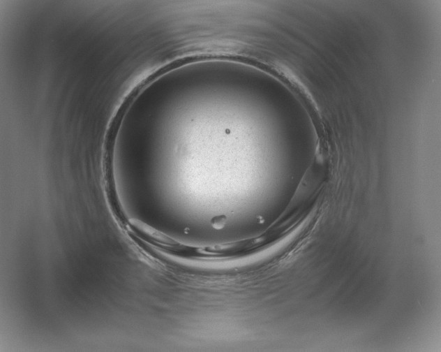 X0000062631085200512281549