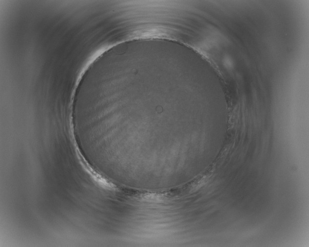 X0000062631086200512281549