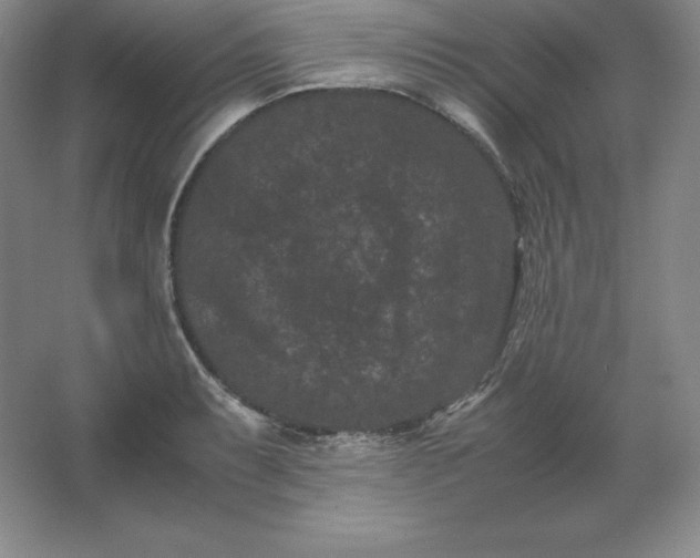 X0000062631087200512281549