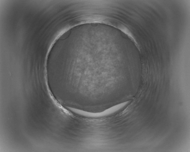 X0000062631088200512281549