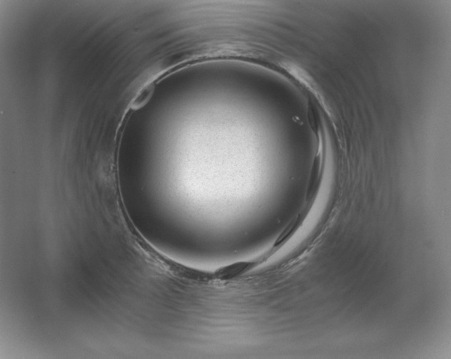 X0000062631089200512281549