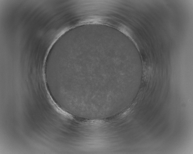 X0000062631090200512281549