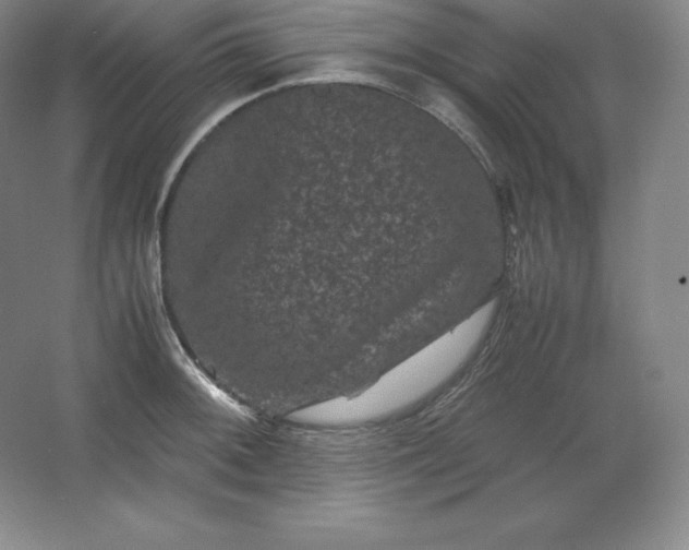 X0000062631092200512281549