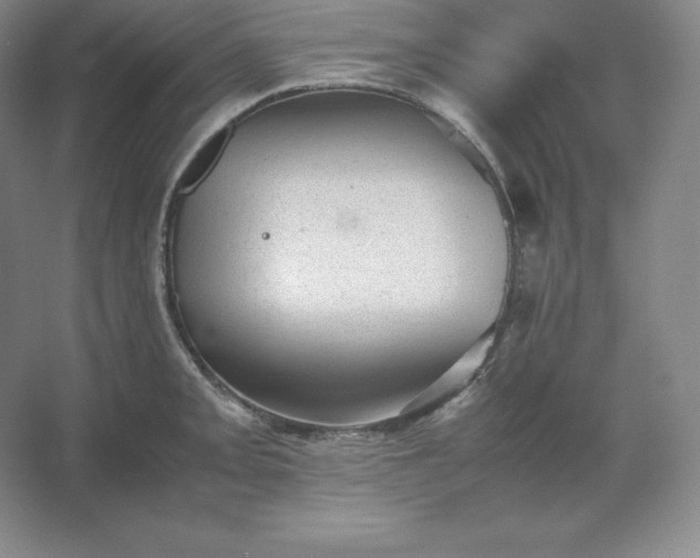 X0000062631093200512281549