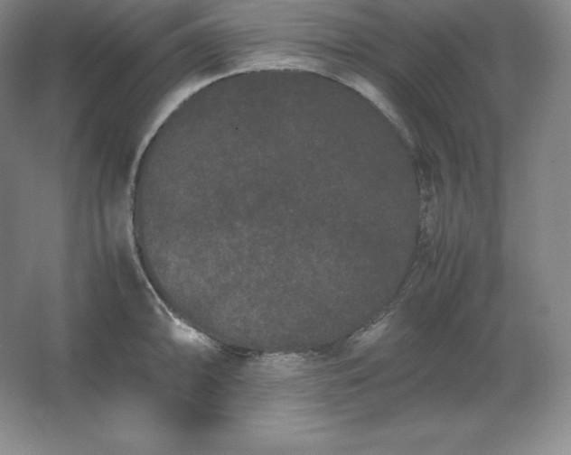 X0000062631094200512281549