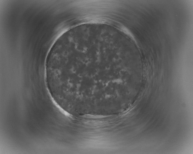 X0000062631095200512281549