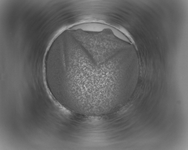 X0000062631096200512281549