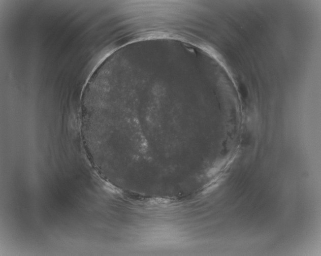 X0000062631097200512281549