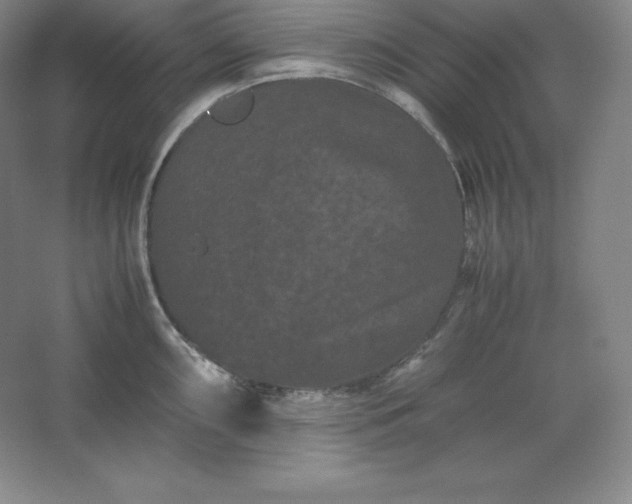 X0000062631098200512281549