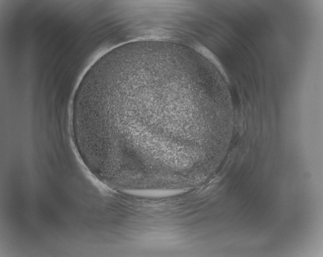 X0000062631099200512281549