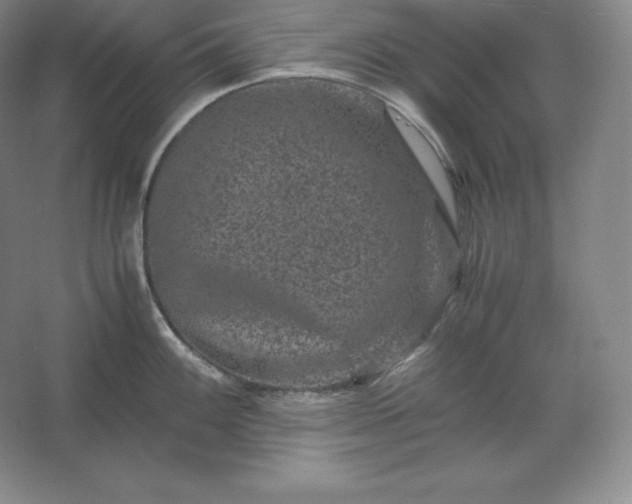 X0000062631100200512281549