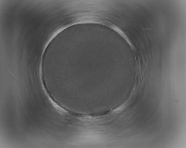 X0000062631101200512281549