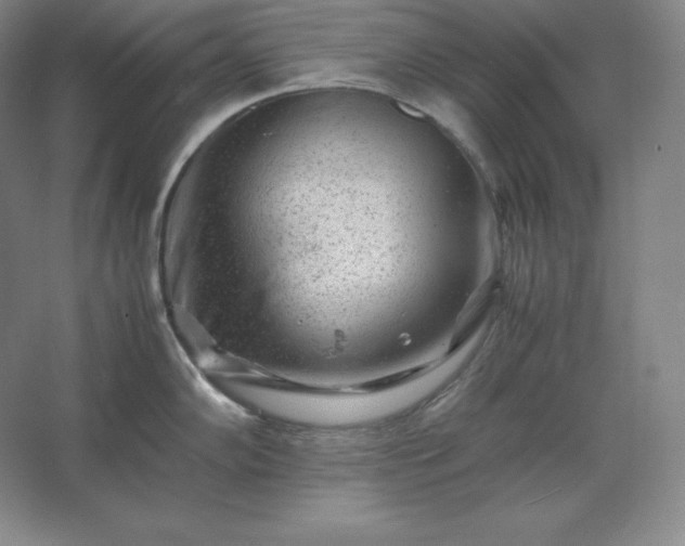 X0000062631102200512281549