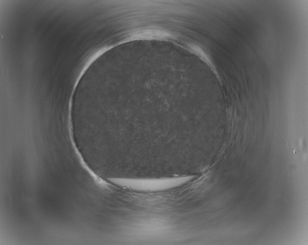 X0000062631103200512281549