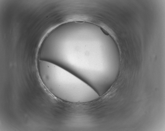 X0000062631104200512281549