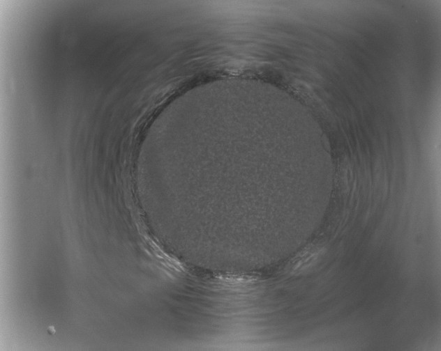 X0000062631105200512281548