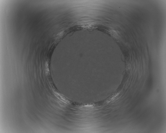 X0000062631106200512281548