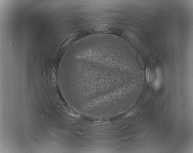 X0000062631107200512281548