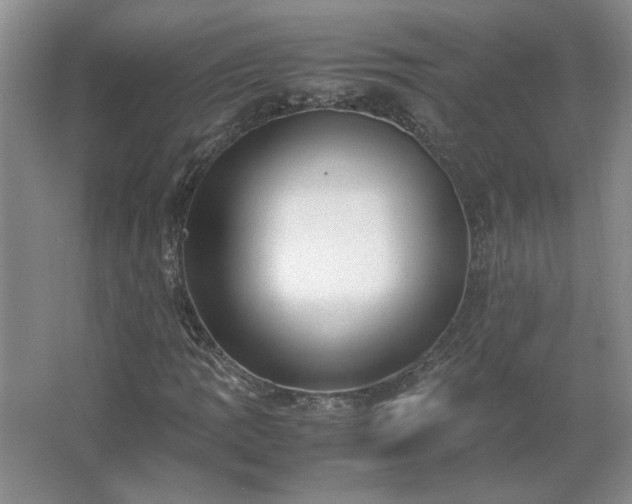 X0000062631109200512281548