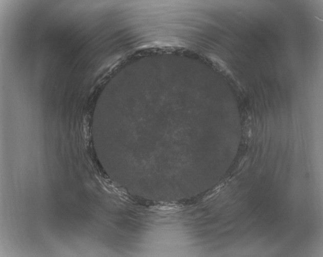 X0000062631110200512281548